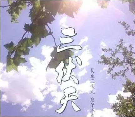 冬病如何夏治？你必須知道的常識